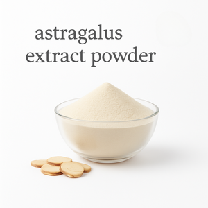 Extracto Seco de Raíz de Astrágalo de Alta Calidad para Exportadores e Importadores en Mercados de Ingredientes Botánicos - Product Image 1