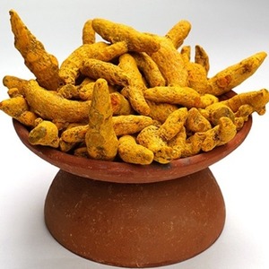 Cúrcuma Salem Natural de Cultivo Natural, Dedos de Cúrcuma con Alto Contenido de Curcumina, Raíz de Cúrcuma Entera Natural, Ingrediente Premium, Proveedor de Exportación - Product Image 1