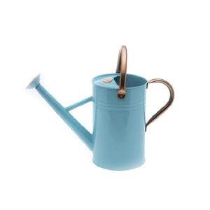 Arrosoir décoratif moderne en métal, tendance et frais, avec surface imprimée en émail, léger et durable pour l'intérieur et l'extérieur - Product Image 1