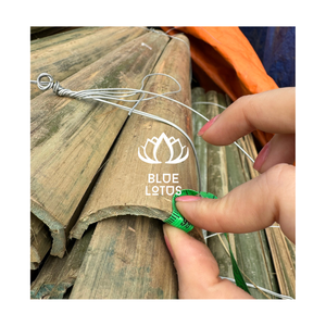 หลอดไม้ไผ่สดทั้งเส้น ขนาด 50 ซม. เส้นผ่านศูนย์กลาง 5-6 มม. เป็นมิตรกับสิ่งแวดล้อม ปลอดสารพิษ คัดสรรคุณภาพจากฟาร์มบลูโลตัส (โฮจิมินห์) - Product Image 4
