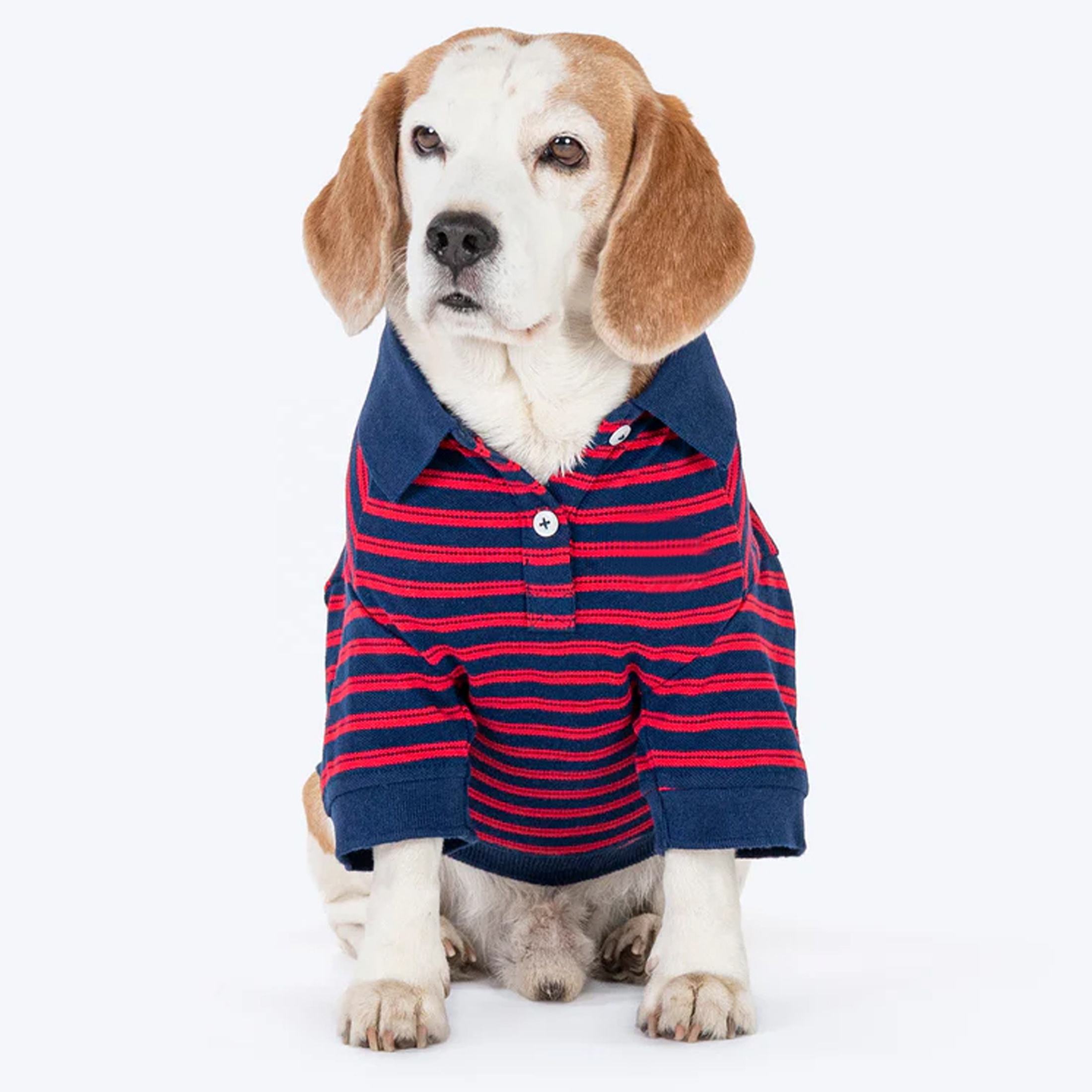 แดง/น้ำเงิน