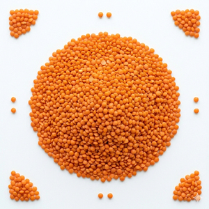 Nouvelle récolte de lentilles rouges biologiques AD séchées, origine Brésil, polies, 25 kg en vrac, durée de conservation de 2 ans - Product Image 4