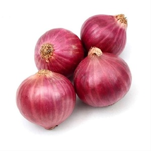 Cebolla Amarilla Fresca Orgánica Premium Ofrecida a Precio de Mayoreo para Supermercados y Proveedores de Alimentos - Product Image 6