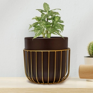 Support de pot de fleurs d'intérieur marron foncé de qualité supérieure avec cadre en fil doré géométrique, support emboîtable pour l'esthétique de la maison et du bureau - Product Image 5