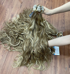 Prix de gros Cheveux humains vietnamiens colorés en trame, sans nœuds, sans perte, directement de l'usine - Product Image 3