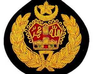 Fabricant professionnel de patchs brodés faits à la main avec des broderies complexes, des motifs personnalisés, une marque privée et des commandes d'exportation - Product Image 2