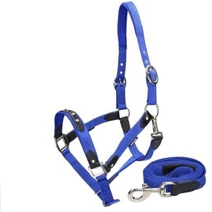 Durable and Comfortable <b>Thick</b> Nylon Webbing Green Nylon Horse Halter Custom sizes with adjustable nickel hardware - Product Image 3