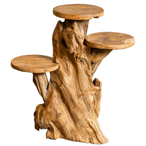 ARTERRA Support de Présentation en Bois Massif Artisanal Rustique en Racine de Teck Bio de Luxe pour Décoration Intérieure/Extérieure - Idéal Diwali - Product Image 1