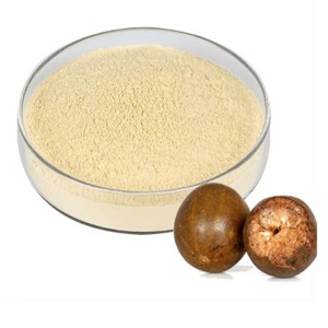 Extrait de fruit de moine 100 % pur 10:1 en poudre, extrait naturel de Luo Han Guo pour boissons, desserts, pâtisseries et applications culinaires - Product Image 1