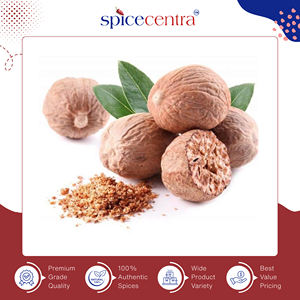 Nuez Moscada en Polvo Seca Auténtica Hecha en India, Ingredientes Naturales Puros, Spicecentra, 12 Meses de Duración, Proveedor Líder - Product Image 5