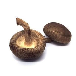 Hongos Shiitake Silvestres Secos de Alta Calidad, Grado Alimenticio, Rico Sabor Umami, Vietnam, 1 kg, Proveedor de Exportación - Product Image 2