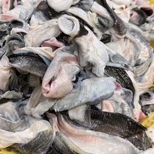 ราคาดีที่สุด หนังปลาแช่แข็งสด / หนังปลาปังกาซิอุสแช่แข็ง สำหรับคอลลาเจน / คุณอลินา - Product Image 1