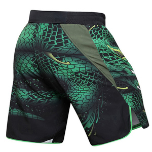 Shorts de boxe MMA unisexes, rayures latérales vertes, taille haute, coupe élastique, pour l'entraînement, le sparring, le kickboxing, vêtements de sport - Product Image 3