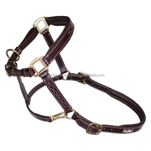 Wholesale Manufacture Equine Premium Quality Drum Dyed Leather Horse Stable Halter Fancy Stitching and <b>Padding</b> Horse Equipment - Product Image 5