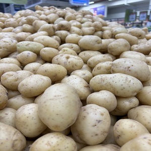Pommes de terre fraîches biologiques de haute qualité provenant du Pakistan, fournisseur, peau jaune, vente, emballage personnalisé, prix raisonnable, service OEM - Product Image 6