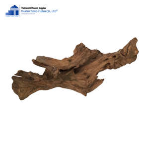 Décoration d'aquarium en bois flotté naturel Thanh Tung Thinh, forme irrégulière, écologique, bois pour aquarium en provenance du Vietnam - Product Image 6