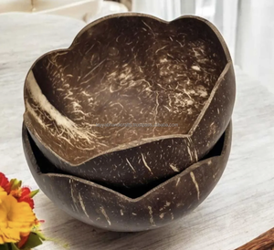 Bol en coquille de noix de coco naturelle Vaisselle en noix de coco Bols ronds non polis pour dessert aux fruits - Product Image 5