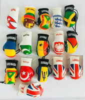 Mini gants de boxe universels pour tous les pays Paire de rétroviseurs de voiture Porte-clés suspendu pour club d'enfants Article cadeau d'occasion