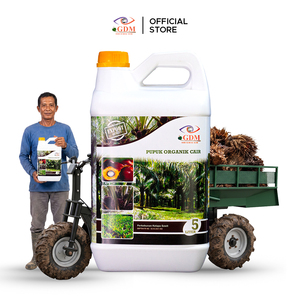 Engrais organique à base d'algues GDM pour les cultures tropicales et la croissance des plantes - Product Image 2