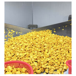 Tranches de Jackfruit Séchées Sucrées Sous Vide – Snack de Fruits Dorés Premium en Gros pour Importateurs - Product Image 4
