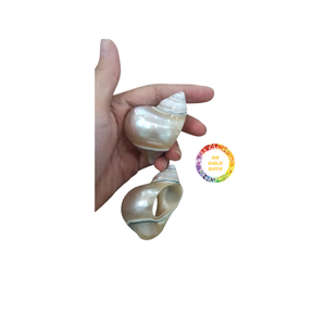 แหวนผ้าเช็ดปากเปลือกหอยธรรมชาติทำด้วยมือสุดหรูสำหรับตกแต่งโต๊ะอาหารค่ำและการติดตั้งห้องอาหารชายฝั่งทะเลรีสอร์ท - Product Image 2