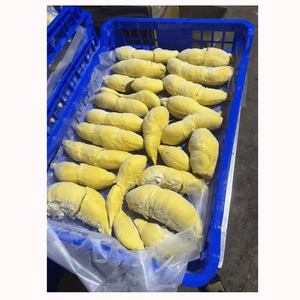 Durian surgelé de la meilleure qualité du Vietnam, fruit tropical naturel, vente en gros et approvisionnement en vrac pour la restauration et l'exportation - Product Image 1