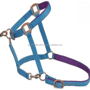 Meilleure vente de licol en nylon pour chevaux de course Concevez vos propres couleurs licou en nylon pour chevaux correspondant aux cordes à sauter - Product Image 2
