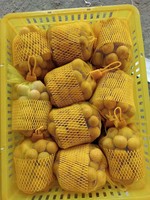 Vietnam Idor Longan Met Zoete Sappige Smaak Dunne Schil En Klein Zaadje Ideaal Voor Verse Consumptie En Exportdistributie