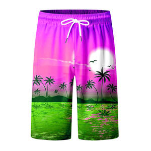 Pantalones Cortos de Verano para Hombre, Estilo Urbano, Impermeables, Resistentes al Viento, Transpirables, Ecológicos, de Secado Rápido, Cintura Media, Cierre con Cordón - Product Image 3