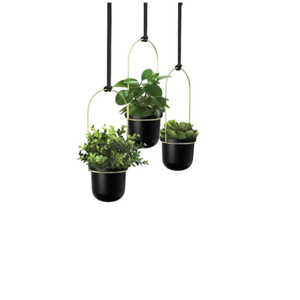 Jardinière murale en métal de qualité supérieure avec sangle en cuir véritable, moderne, pour plantes succulentes et intérieur - Product Image 3