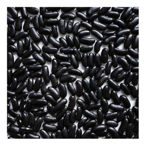 Haricots rouges noirs en vente, qualité supérieure, vente en gros, haricots rouges en vente à prix avantageux - Product Image 4