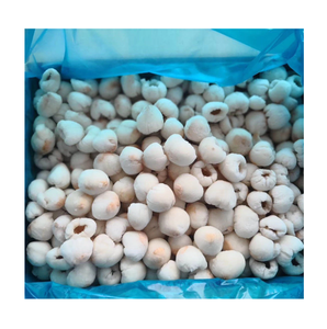Lychees entiers surgelés IQF, fruits tropicaux en vrac, qualité supérieure, sans sucre ajouté, emballés sous vide, 1 kg, Ha Giang, Vietnam, 24 mois, 99 - Product Image 1
