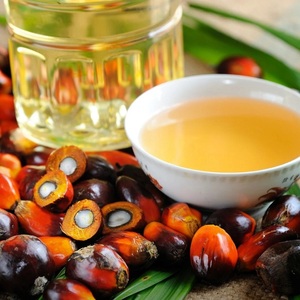 <b>Hot</b> Selling Factory Price Manufacturer Supply Wholesale Bulk Price RBD Palm Oil 100% Pure Natural Organic <b>Red</b> Palm Oil - Product Image 5