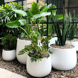 Maceta de Jardín de Fibra de Vidrio Estilo Antiguo Contemporáneo, Ligera y Duradera, Proveedor OEM ODM - Product Image 2