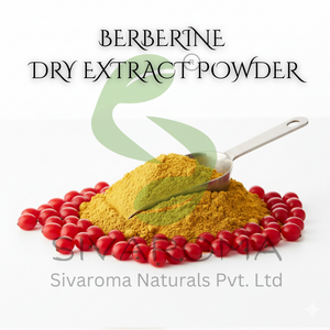 Poudre d'extrait sec de berbérine sauvage de qualité alimentaire, source naturelle, pour mélange d'ingrédients fonctionnels et utilisation dans le traitement commercial - Product Image 3