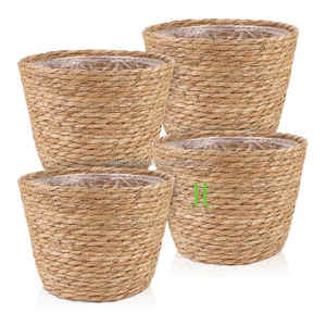 Macetas y macetas de algas marinas sostenibles vintage OEM personalizado aceptado - Product Image 2