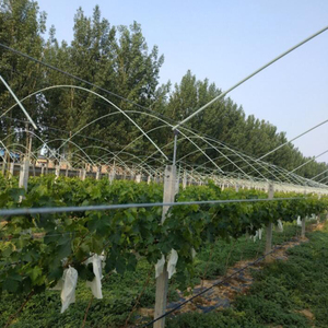 Wholesale Flexible Fiberglass Rod Agricultural Arch Shed <b>Bracket</b> 8mm 3.5m - Product Image 2