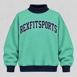 Sweat-shirt à col montant oversize en molleton épais avec logo personnalisé et applique 3D, vente en gros d'usine, fournisseur OEM - Product Image 1