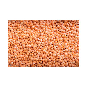 ถั่วเลนทิลแดง มีจำหน่ายในปริมาณมาก จัดส่งรวดเร็วและจัดหาได้ต่อเนื่อง - Product Image 1