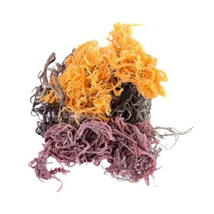Musgo Marino Seco Orgánico Natural, Superalimento Morado y Blanco para Ensaladas y Sopas, Venta al por Mayor al Mejor Precio - Product Image 2
