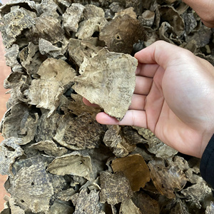 ไม้กฤษณาธรรมชาติ 100% รูปทรง COSMIC จากเวียดนาม เม็ดไม้หอมอูด ขายดีอันดับต้นๆ ในราคาขายส่ง - Product Image 6