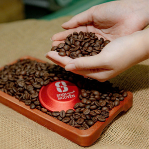 CREMA Mélange de grains de café 70% Robusta 30% Arabica, torréfaction moyenne, café premium doux, sac de 1kg, OEM, vente en gros, Profile Vietnam Roaster Cafe - Product Image 5