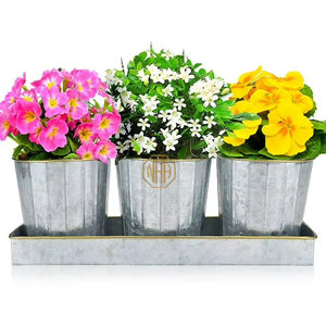 Ensemble de 3 pots à herbes rustiques en métal galvanisé, nervurés, pour plantes d'intérieur, avec plateau de drainage, pour cuisine, rebord de fenêtre, balcon - Product Image 5