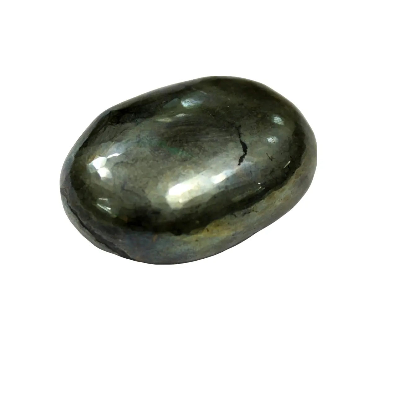 סיטונאי טבעי זהב פיריט קריסטל פאלם אבן ריפוי גבישי רייקי: פיריט דקל אבן יצרן מהודו