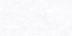 Carreaux de céramique polis brillants Modèle 1160-L 300x600mm - Product Image 1