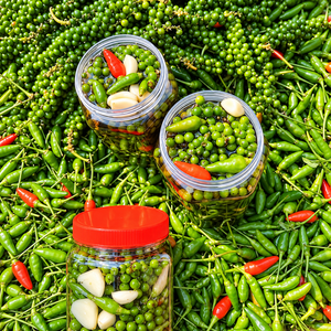Chiles Verdes Salados Vietnamitas Enlatados - Picantes y Crujientes, Enteros en Envase de Tambor de 20 kg / Sra. Alina - Product Image 6