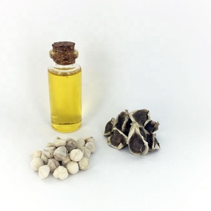Huile indienne Moringa, 20 ml - Product Image 4