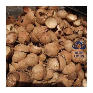 Cáscara de Coco para Procesamiento de Carbón y Producción de Combustible, Alto Rendimiento de Carbono, Suministro Estable, MÁS DESEADO - Product Image 5
