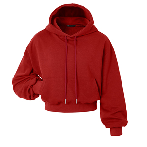 Women Hooded Cropped Fleece Zip Long <b>Sleeve</b> Casual Eco-Friendly Waterproof Workout Streetwear <b>Top</b> OEM ODM Private Label - Product Image 2