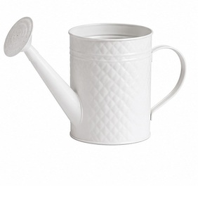 บัวรดน้ำโลหะสีขาวเคลือบทอง ทนทานสำหรับใช้ทำสวน - Product Image 2